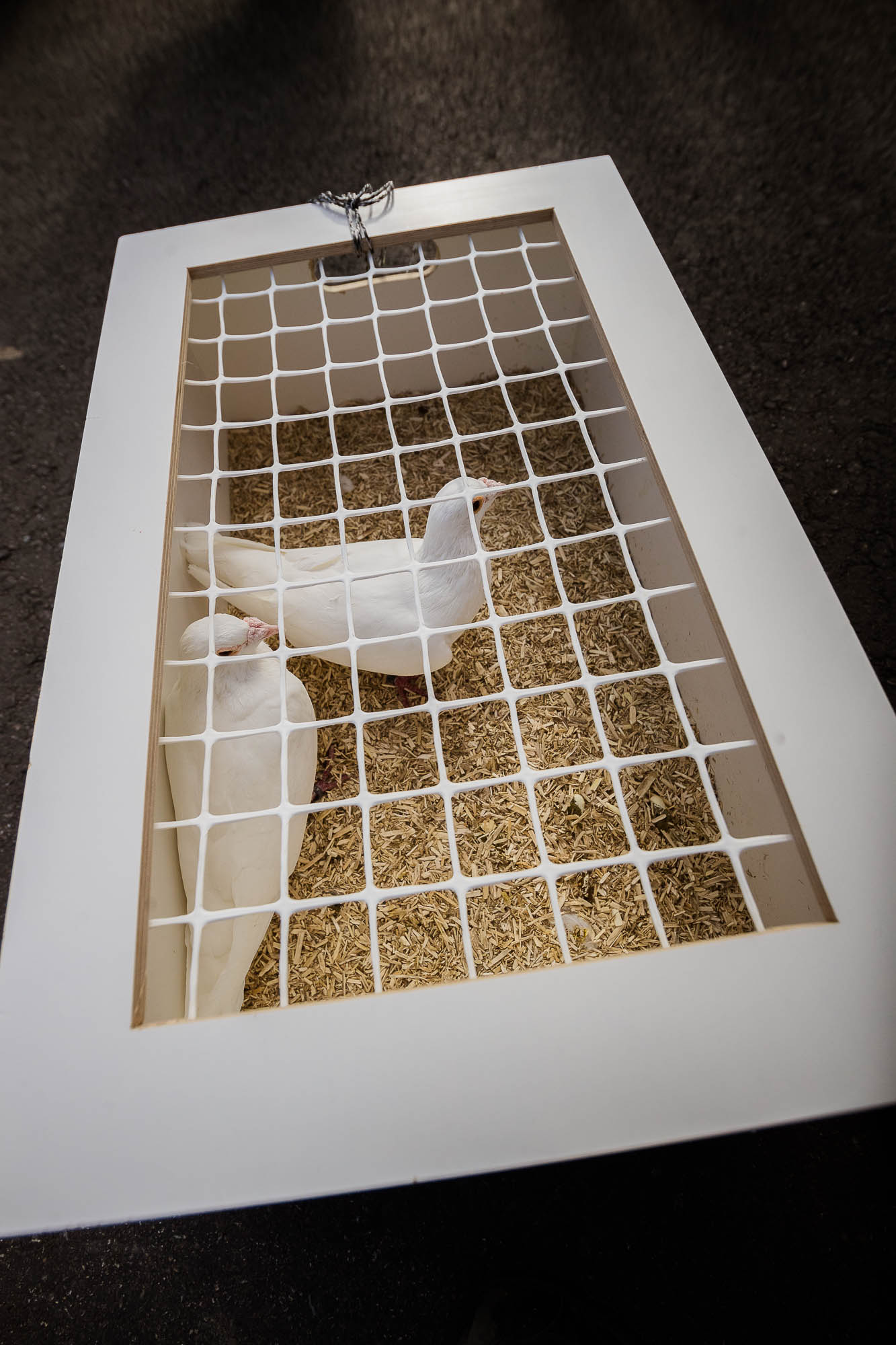 Export x3 1DX28908 Hochzeit 2020 Claudia & Thomas